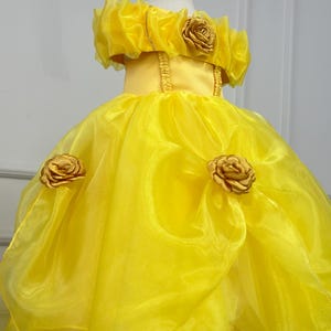 Belle Inspired Toddler Girl Birthday Dress, Photoshoot Outfit, Halloween Girl Dress, Fancy Tulle Kids Dress, Tulle Puffy Dress