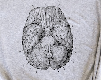 Anatomical Brain Unisex T-Shirt, Human Brain Graphic Tee, Medical Student Gift, Neurology, Neurologist
