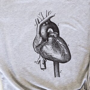 Heart Anatomy Shirt, Anatomical Heart Tee, Heart T-shirt, Cardiac Nurse, Physical Therapist, Cardiologist, Cardiology