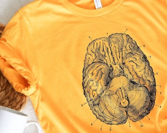 Anatomical Brain Unisex T-Shirt, Human Brain Graphic Tee, Medical Student Gift, Neurology, Neurologist