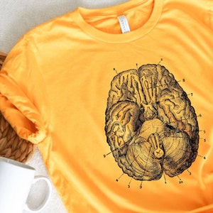 Anatomical Brain Unisex T-Shirt, Human Brain Graphic Tee, Medical Student Gift, Neurology, Neurologist
