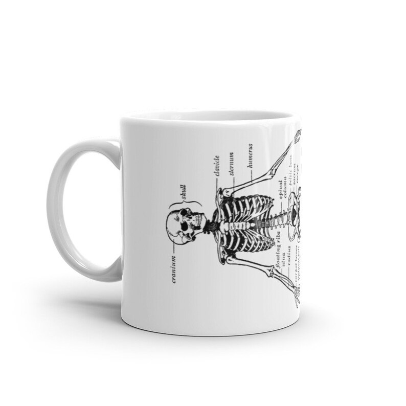 Skeleton Human Anatomy White Glossy Mug, Gift for Science Lovers or Med ...