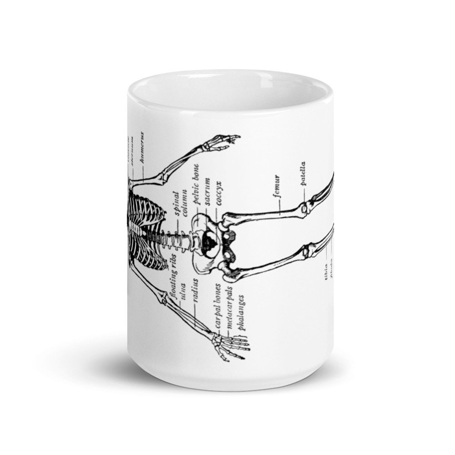 Skeleton Human Anatomy White Glossy Mug, Gift for Science Lovers or Med ...