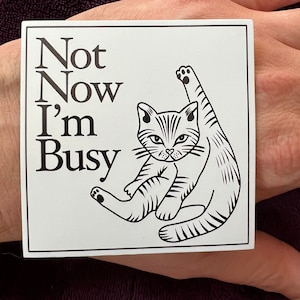 May include: A white square sticker with black text and a black and white illustration of a cat. The text reads "Not Now I'm Busy".