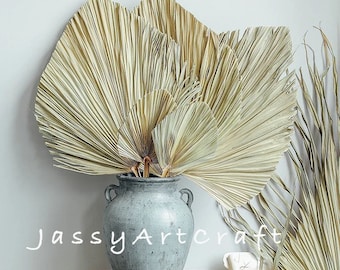 SET 5 PIÈCES de feuille de palmier | Porte de mariage Boho | Ventilateurs séchés, ventilateur de palmier tissé à suspendre au mur, décor à la maison Boho, ventilateurs de palmiers tropicaux