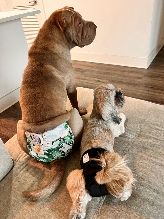 Pack of 2 Female Dog Diapers Sanitary Pantie Washable Reusable with Suspenders Stay On for Small