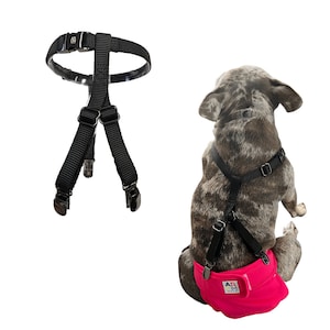 ARCM Pets Halos Dog Suspenders| Ideal to Keep Female Dog Diapers, Belly Bands & Dog Dresses On| No Choking or Escaping| Adjustable