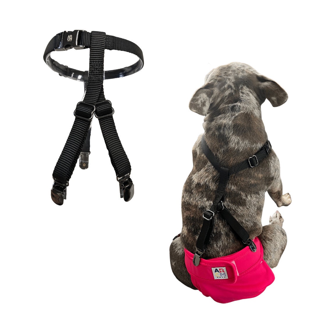 Female dog diapers with suspenders cheap