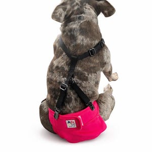 Dog Diaper Suspenders for Incontinence and Paralysis| Dog Diaper Stays on| IVDD, Potty Training, Heat Cycle & Postpartum Support