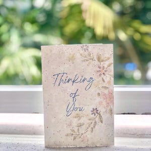 Lot varié de 4 cartes de voeux à planter avec 4 enveloppes à planter