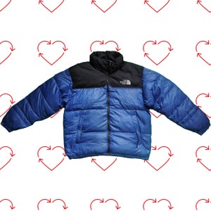 ヴィンテージ ブルー ザ ノース フェイス 700 ヌプシ ジャケット、メンズ L、中古 レトロ TNF ダウン インサレーテッド パファー ジャケット