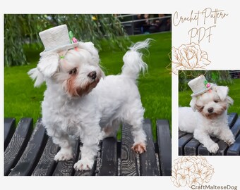 Crochet Pattern PDF: Wedding Top Dog Hat, Size - XS for small dog. Language - English, Deutsch, Français