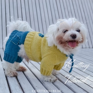 Patrón de tejido para mono de perro: estilo 'Minion', talla L (patrón en PDF)