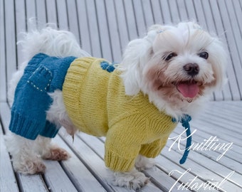 Dog Jumpsuit Knitting Pattern: 'Minion' Style, Size L (PDF Pattern)