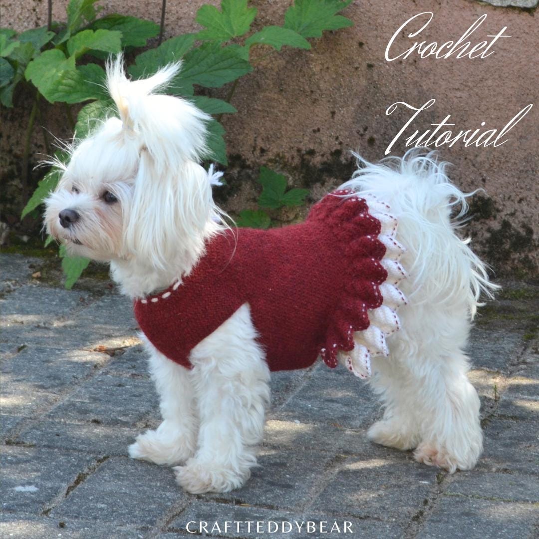 Vestidos Tejidos Ropa Para Perro Chihuahua A Crochet Crochet