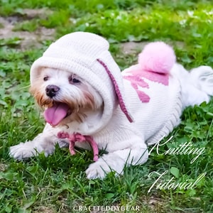 Knitting Pattern PDF: Easter bunny hoodie, Size - L for small dog. Language - English