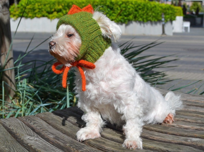 May include: A white dog wearing a green knitted hat with orange accents. The hat has a bow under the chin and a decorative orange design on top. The dog is sitting on a wooden surface.