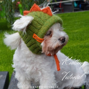 May include: A small white dog wearing a green and orange knitted dinosaur hat. The hat has orange spikes and a brown leather tag that says "NoziLand". The dog is sitting on a wooden bench in front of a green background.