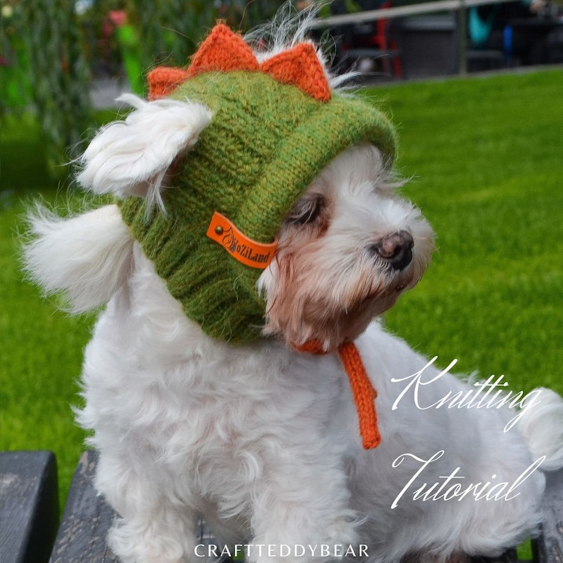 May include: A small white dog wearing a green and orange knitted dinosaur hat. The hat has orange spikes and a brown leather tag that says "NoziLand". The dog is sitting on a wooden bench in front of a green background.