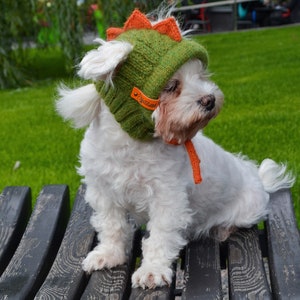 May include: A small white dog wearing a green knitted hat with orange spikes and a matching orange collar. The dog is sitting on a wooden bench in front of a green grassy background. The hat has a small brown tag.