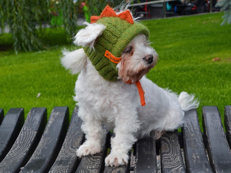 Knitting Pattern PDF: Dragon dog hood, Size XS for small dog. Language English image 2