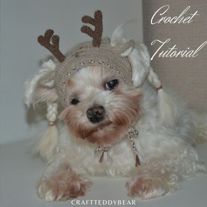 Crochet Pattern PDF: Reindeer dog hood, Size - XS for small dog. Language - English