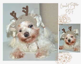 Crochet Pattern PDF: Reindeer dog hood, Size - XS for small dog. Language - English