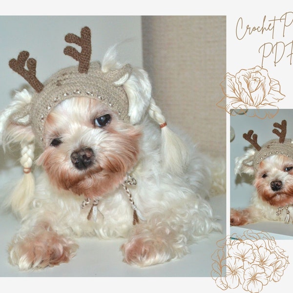 Crochet Pattern PDF: Reindeer dog hood, Size - XS for small dog. Language - English