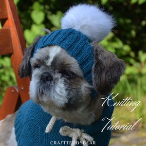 May include: A small dog wearing a teal blue knitted hat with a white pom pom and a matching teal blue knitted sweater. The dog is looking to the right of the image. The text "Knitting Tutorial" is written in white cursive font on the bottom right of the image. The text "CRAFTTEDDYBEAR" is written in white font on the bottom center of the image.