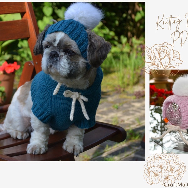 Modèle de tricot PDF : bonnet pour chien, taille - XS pour petit chien. Langue - anglais