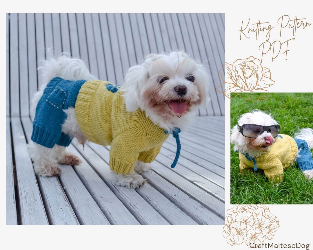 Knitting Pattern PDF Jumpsuit for Dog, Size L for Small Dog. Language