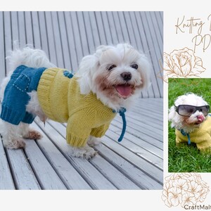 Knitting Pattern PDF: Jumpsuit for dog, Size - L for small dog. Language - English