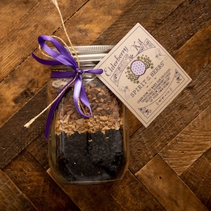Traditional Elderberry Syrup DIY Kit