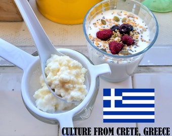 Live Milk Kefir Grain Cultures FROM CRETE, GREECE - Organic + Probiotic Bulgaros Gut Health Adjuster