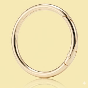 2-delige gouden portemonnee kettingadapter 1 1/4 inch - set van twee trekkerveer O-ringen rond, metalen ronde karabijnhaakclips