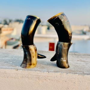 Puede incluir: Dos cuernos vikingos para beber con un acabado oscuro y brillante y bordes dorados. Los cuernos están montados sobre bases a juego. Los cuernos tienen forma curva y están hechos de un material natural, con variaciones de color y textura.