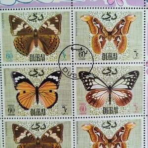 May include: A sheet of postage stamps featuring colorful butterfly illustrations. Each stamp displays the word "DUBAI" and the value "60 DIRHAM". The stamps showcase various butterfly species with detailed wing patterns.