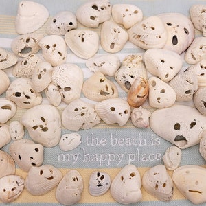 May include: A collection of white seashells with holes forming faces. The shells are arranged on a blue and yellow striped fabric. The text "the beach is my happy place" is written on the fabric.