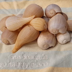 May include: A collection of seashells in various shades of brown and white, arranged in a pile on a striped blue and yellow fabric. The fabric has the text "the beach is my happy place" embroidered on it.