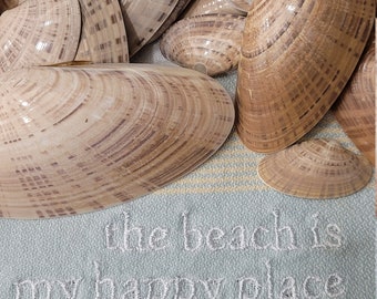12 Sunray Venus Shells Various Sizes