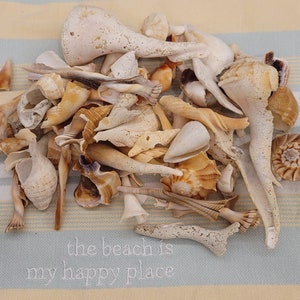 May include: A collection of seashells in various shapes, sizes, and colors, including white, brown, and beige. The shells are arranged on a striped blue and yellow fabric background. The text "the beach is my happy place" is written in white on the fabric.