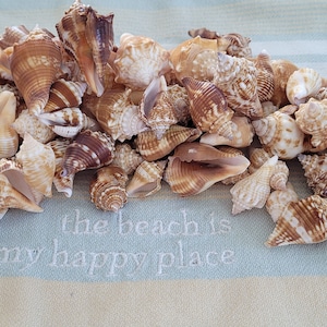 May include: A collection of brown and white seashells of various sizes and shapes. The shells are arranged in a pile on a light blue and white striped fabric with the text "The beach is my happy place" embroidered on it.