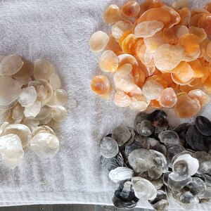 40 Beautiful Translucent Jingles