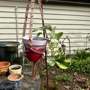 Terracotta color Plant hanger Simple, Macrame plant hanger, Plant Holder, Macrame Decor, Minimalist, tassle, handmade, small details
