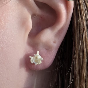 Small/Medium Bone Stud Earrings – Raw Natural Snake Vertebrae Studs – Gothic Minimalist Jewelry – Alternative