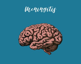 Care learning sheet for meningitis - summaries of content - learning sheet for nursing training in medicine - learning aid for exam preparation