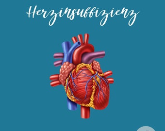 Pflege Lernzettel Herzinsuffizienz inhaltliche Zusammenfassungen - medizinisch und pflegerelevante Themen - Lernhilfe für Examen