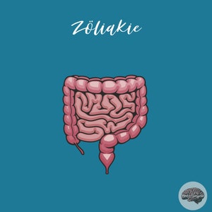 Fichas de estudo sobre cuidados com a doença celíaca - - resumos de conteúdo - fichas de estudo para medicina de enfermagem - auxílio de aprendizagem para exames