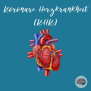 May include: A detailed illustration of a human heart with coronary arteries, labeled "Koronare Herzkrankheit (KHK)".