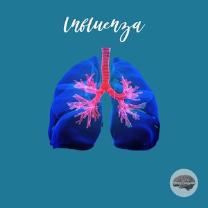 Influenza care learning sheets - - summaries of content - nursing medicine learning sheets - learning aid for exams